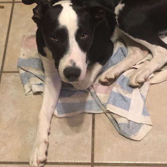 We Finally Did It! - Picture 2 of 8